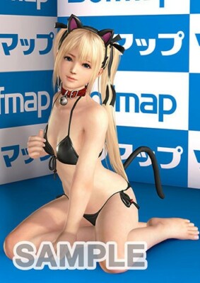 Neu Dead or Alive Xtreme 3 Fortune PS4 Marie Rose Gravure Kitty Bikini Wandteppich