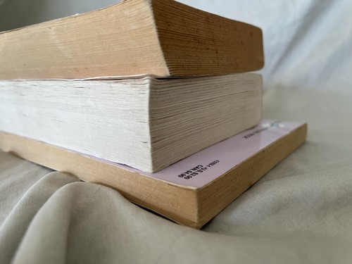 Young Readers Classics 3 Book Lot - Dickens, Stowe, Scott O'Dell - PB Homeschool - Picture 7 of 9
