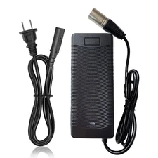 Charger For Currie e-ride PHAT FLYER SE PHAT PHANTOM 24V 3A Lead-acid Power