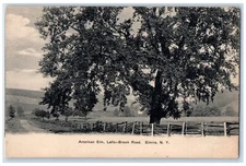 c1905 American Elm Latla Brook Road Field Dirt Road Elmira New York NY Postcard