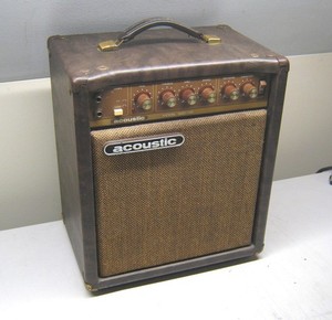 Vintage Acoustic G20-110 Combo Guitar Amp Amplifier