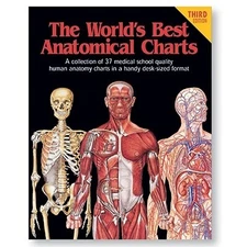 The World's Best Anatomical Charts : A Collection of 37 Medical School...