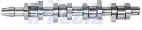 Freccia Nockenwelle CM05-2127 FüR Passat BLS 5P1 Octavia 1K1 Polo 3C5 Golf Caddy