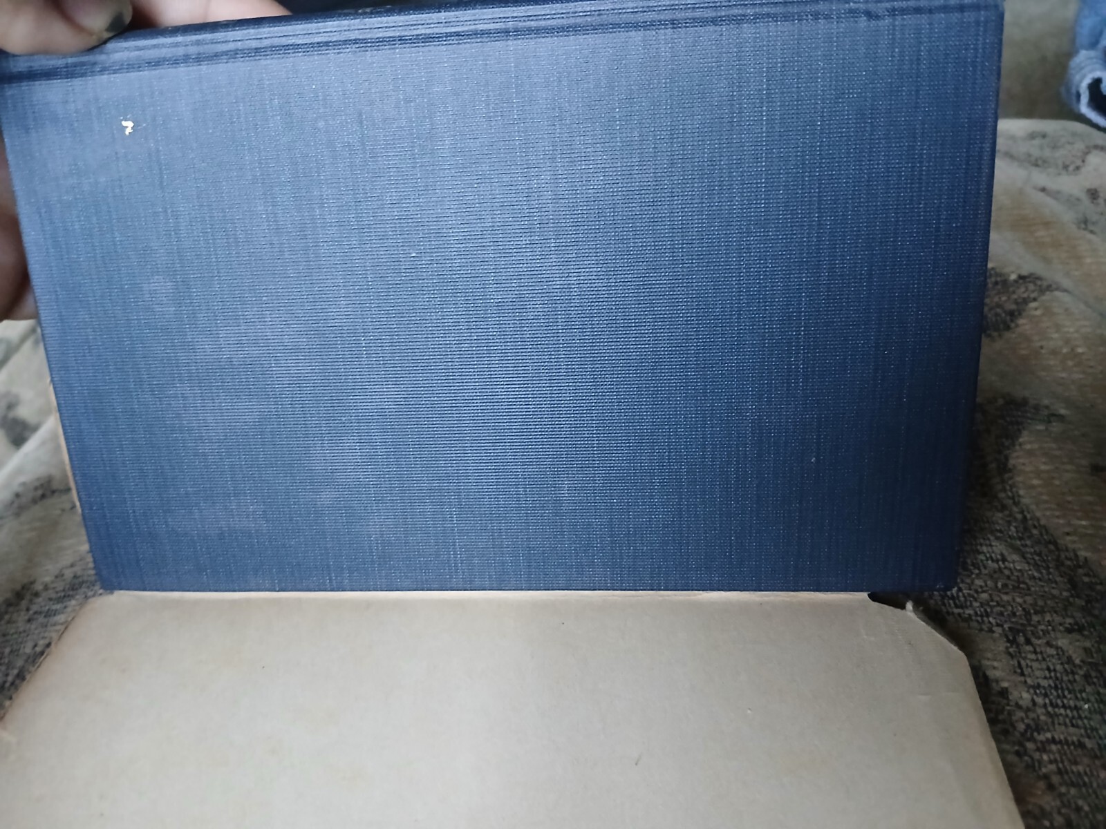 Picture 5 of 7