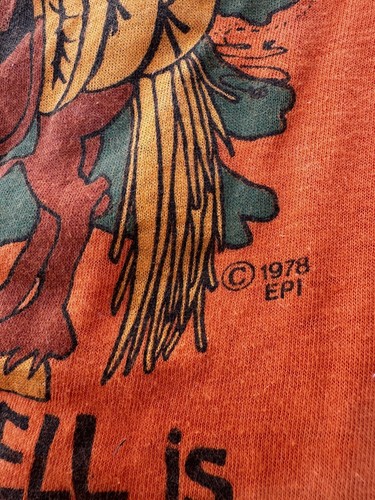 Vintage T-shirt 70s Hanes Where In The Hell Is Delta Colorado 1978 Soft Medium - Picture 3 of 7