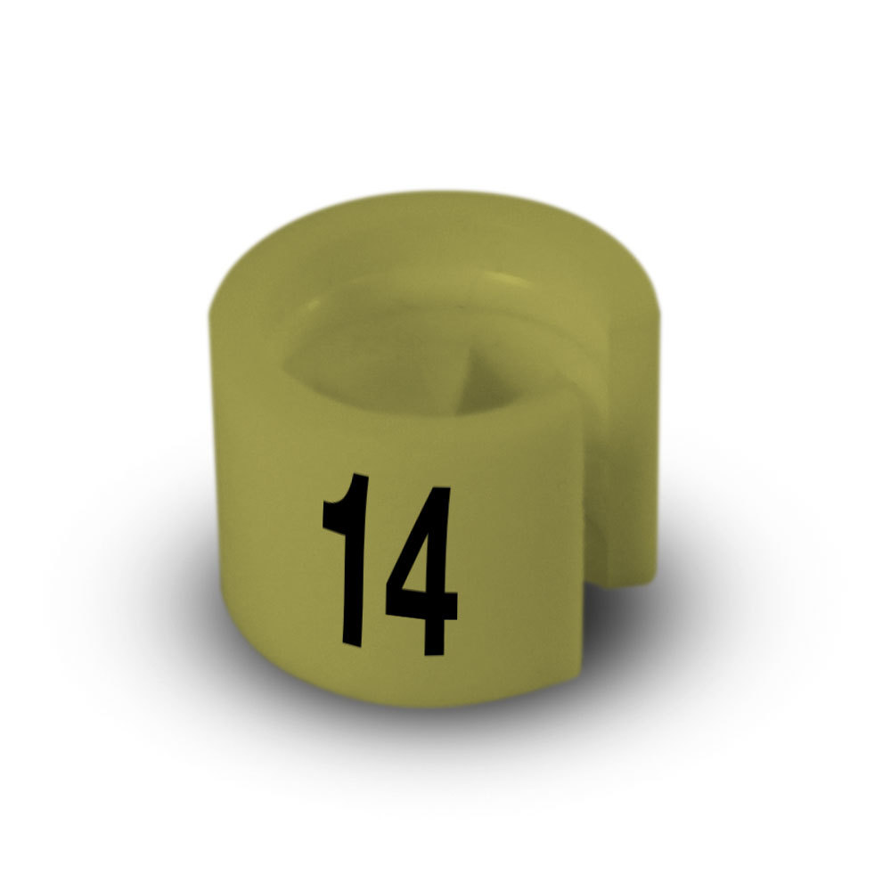 Bild 31 von 67
