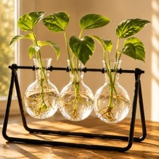 Plant Propagation Stations, Plant Terrarium with Minimalist Metal Stand