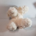 Bild 11 von 11