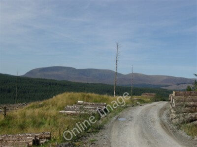 Photo 6x4 Forest track east of Little Water of Fleet Craigie Linn  c2009