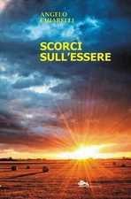 Angelo Chiarelli Francesco Spinelli Scorci sull'essere (Paperback) (UK IMPORT)
