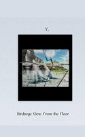 Y. Wilds | Birds-Eye View From The Floor | Taschenbuch | Englisch (2024)