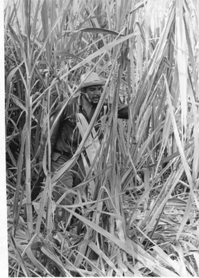 CUBA CUBAN ERNESTO CHE GUEVARA SIGNED PERFECTO ROMERO 1960s ORIG PHOTO MA43