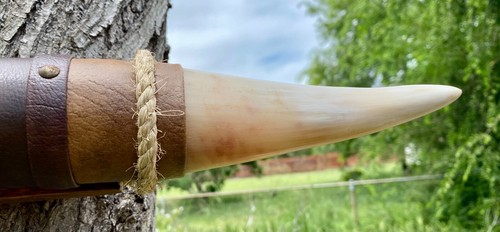 MOUNTED STEER BULL HORNS COW BOY HORN LONGHORNS 18 3/4" Tip to Tip LONG #23 - Picture 5 of 6