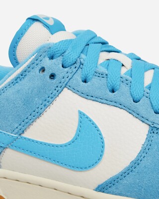 Size 9.5 - Nike Dunk SE Low Baltic Blue Gum