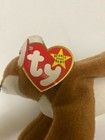 Foto 5 di 11