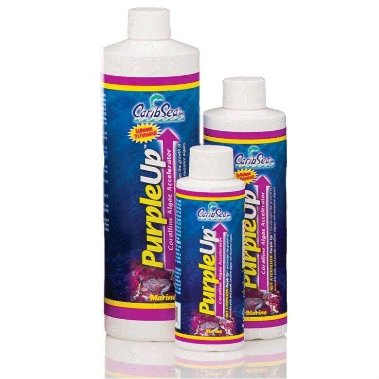 Purple Up (4 oz) - Caribsea