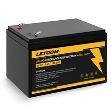 24V 7Ah LiFePO4 Rechargeable Battery LF8011, 25.6V 179.2Wh Deep Cycle Lithium...