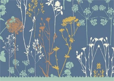 Twilight Garden Boxed Note Cards (Cards)