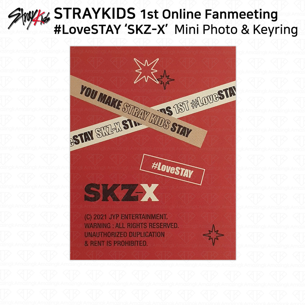 Stray Kids 1st Online Fanmeeting #LoveStay SKZ-X Mini Photo