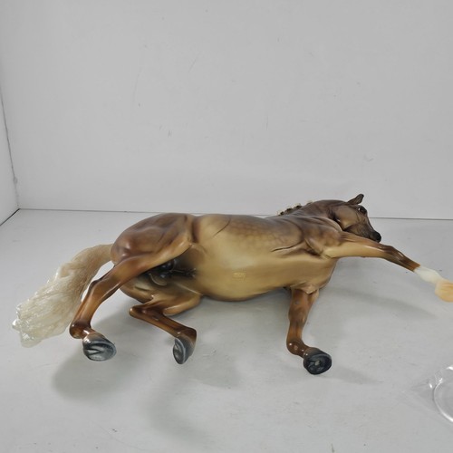 Breyer Breyerfest 2025 Seize the Day Surprise Horse Matte Sooty Palomino Totilas - Picture 9 of 10