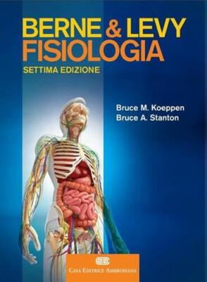 Physiologie Bern und Levy