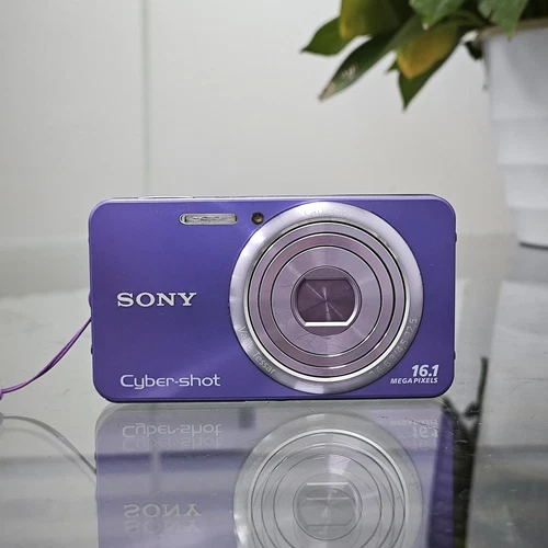 SONY Cyber-shot DSC-W570 16.1MP 5x Optical Zoom Digital Camera - PURPLE English