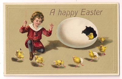 Choreographing hatching Easter Chicks  Postcard