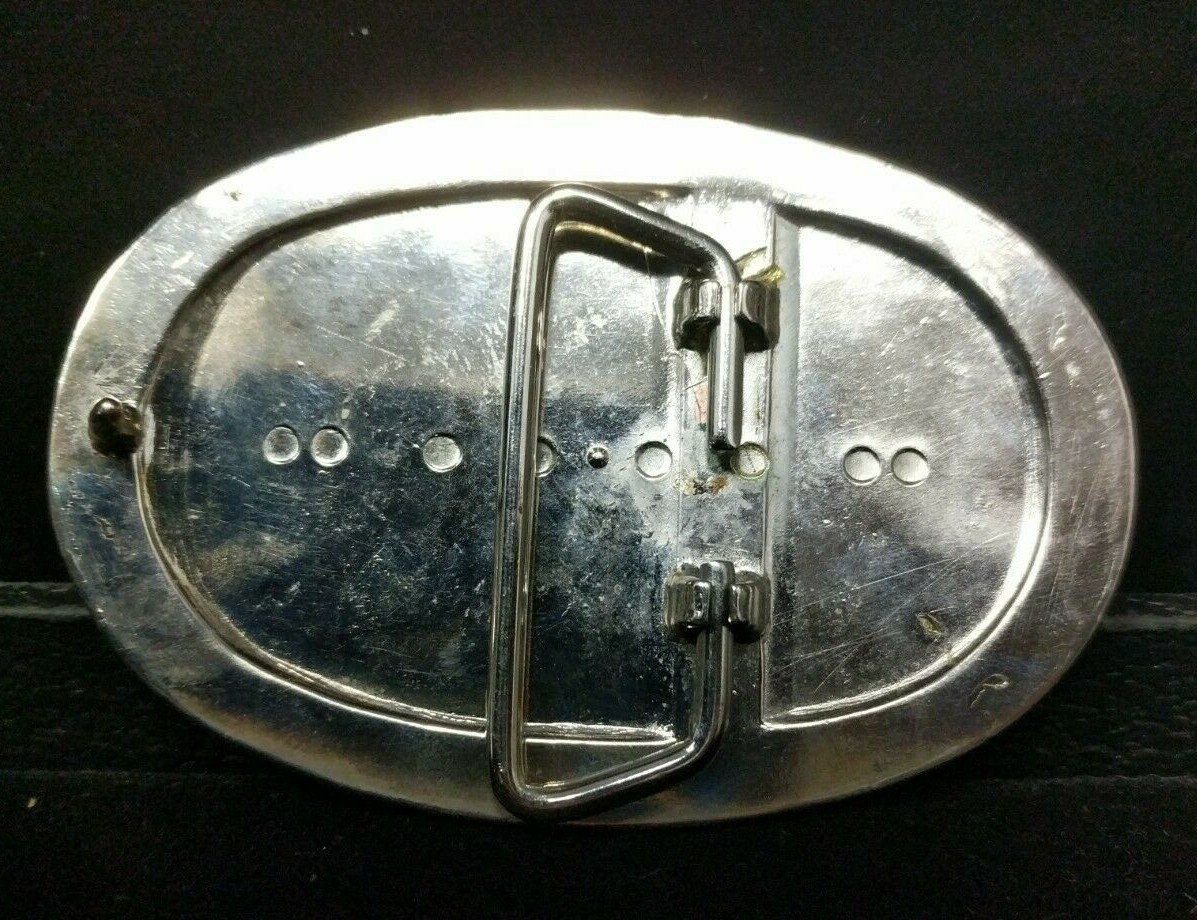 Great/Fun/Fashionable Belt Buckle Enamel W Mother Of … Gem