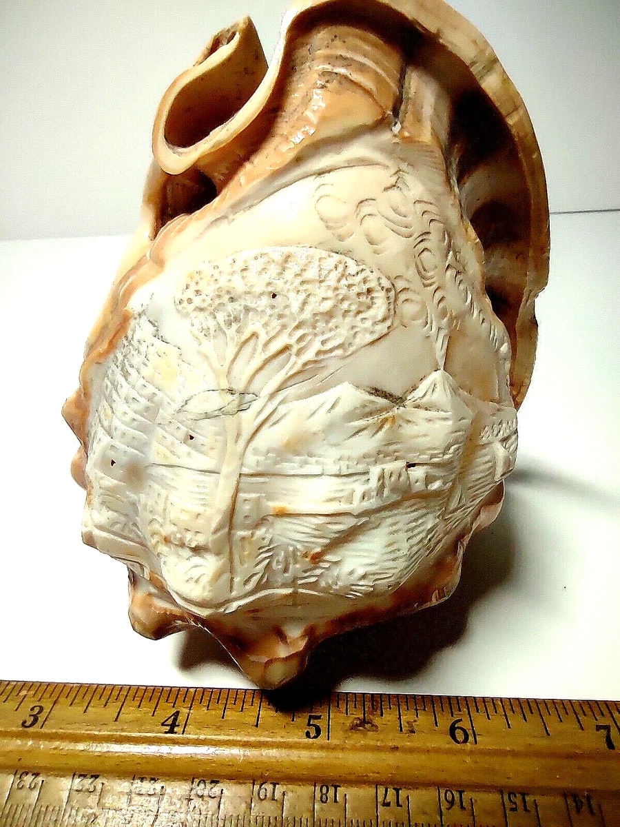 Antique Italian Hand Carved Conch Shell Lamp Shade Night Light