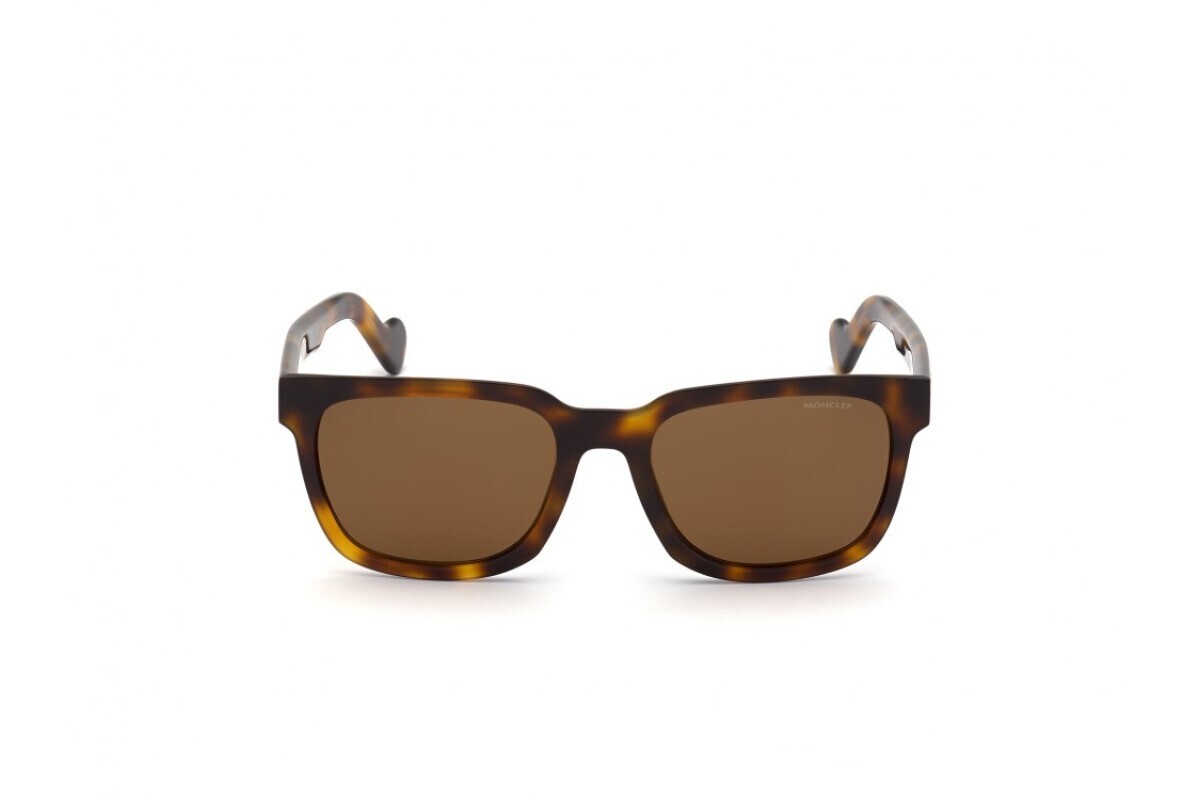 Moncler ML 0174 52H Brown Tortoise Polarized Plastic Sunglasses  