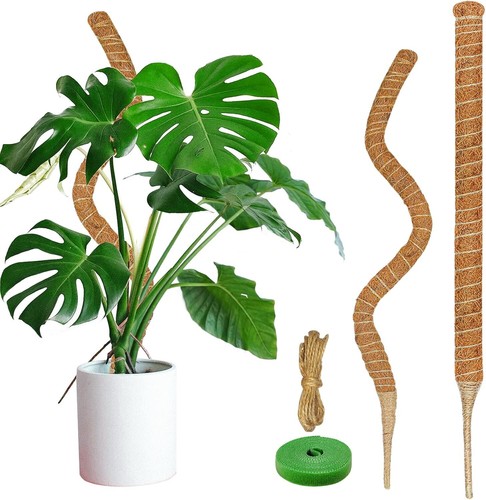 35.4-Inch Moss Poles 2 Pack, Bendable Plant Support for Climbing Plants