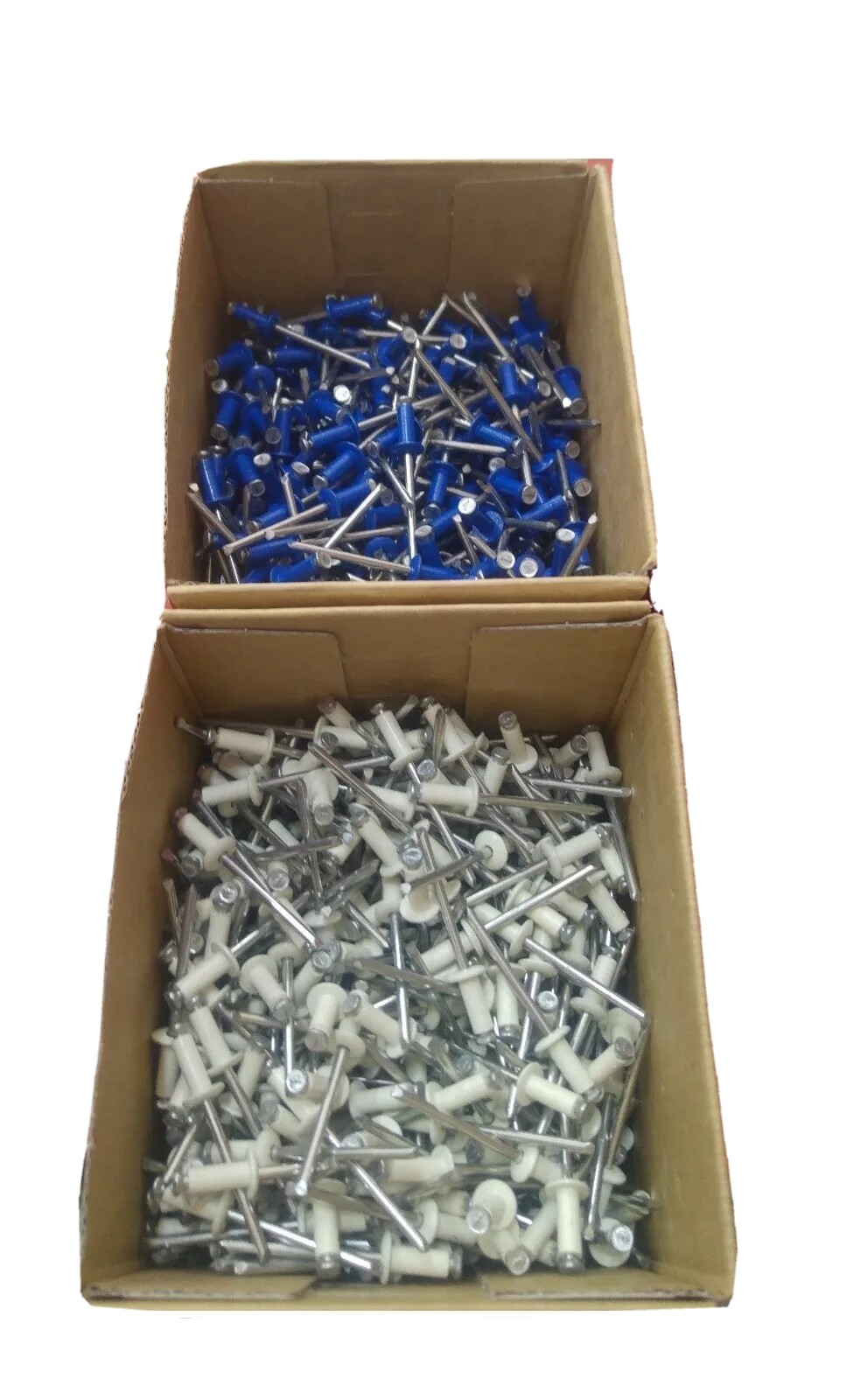 Stock 500 Rivetti Colorati 4.8x12mm Bianchi e Blu per Auto e Moto