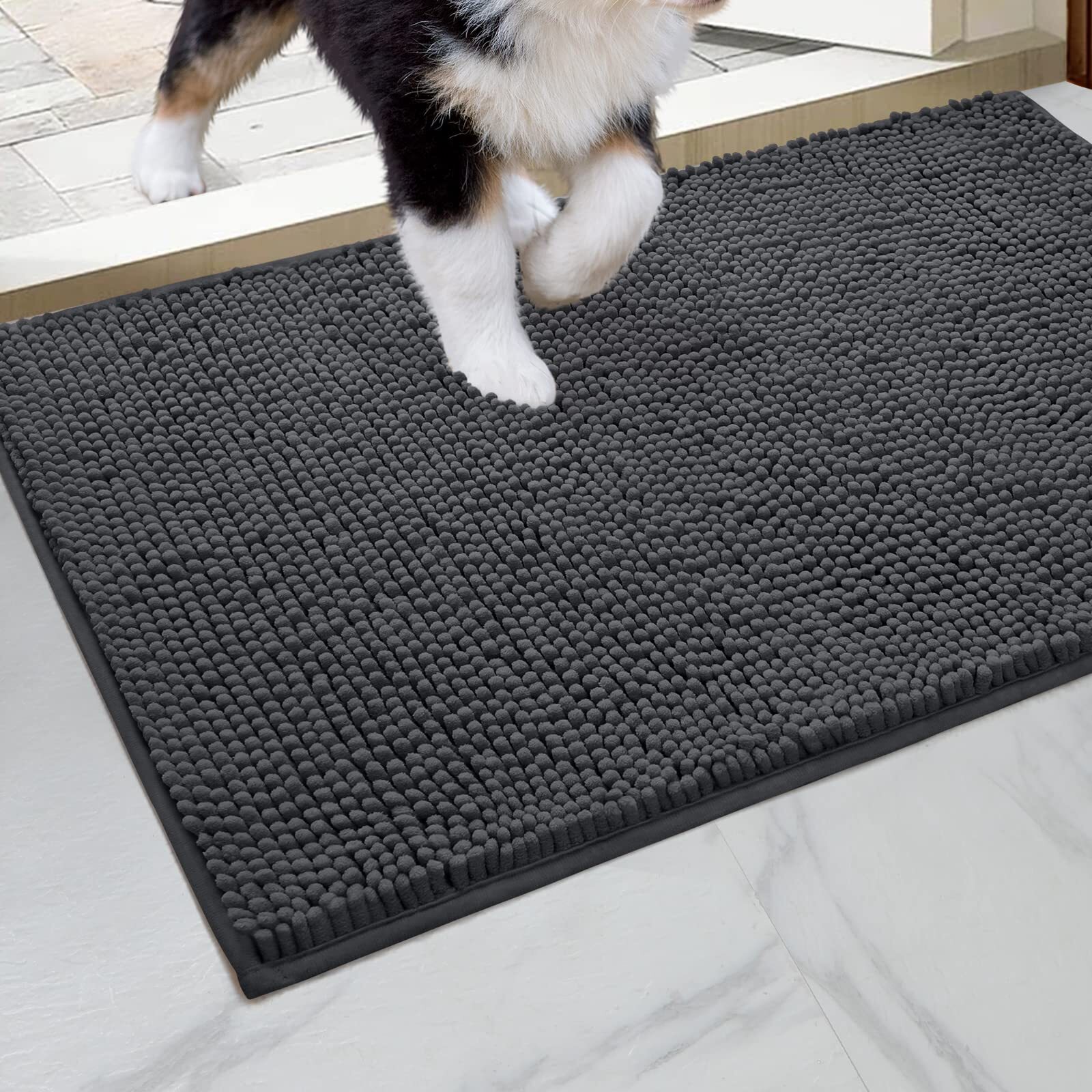 Doormat Indoor Entrance 32