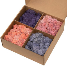Preserved Reindeer Moss, Total 14Oz -Rosy Meadow