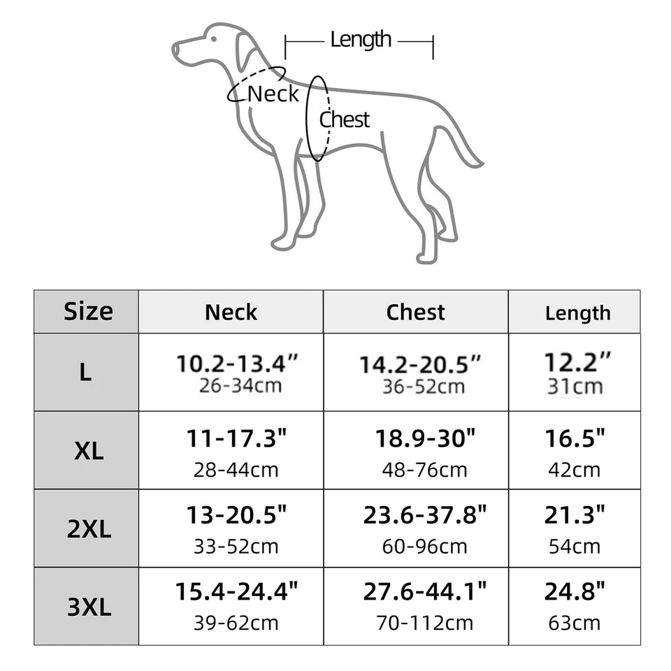 Halloween Esqueleto Perro Disfraz Ropa Decoración Sesiones de Fotos Accesorios Halloween Mascota Foto 2 de 4