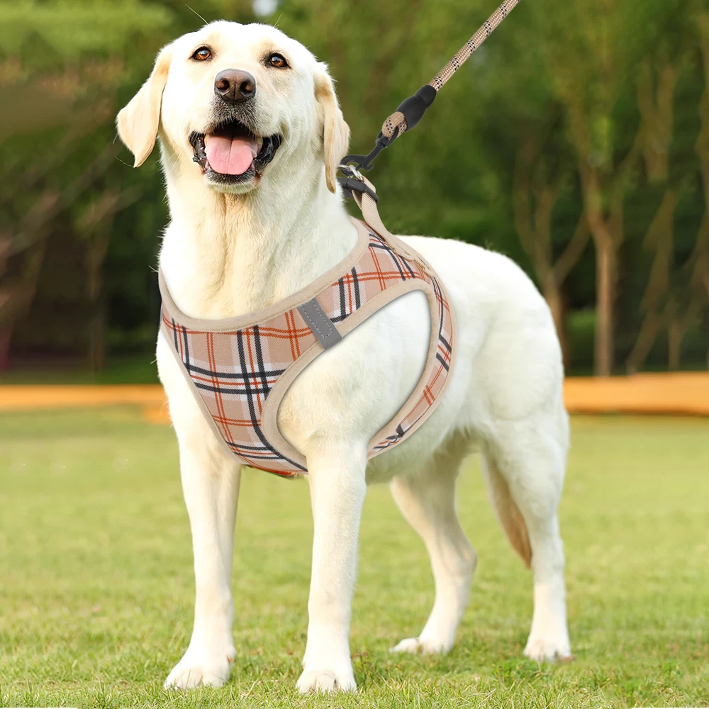Dog Harness Breathable Mesh Soft Control Chest Strap and Leash Reflective Vest