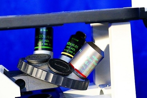 Microscope à culture inversée Nikon ECLIPSE TS100 Pixelink PL-A642 Occasion Japon - Photo 5/8