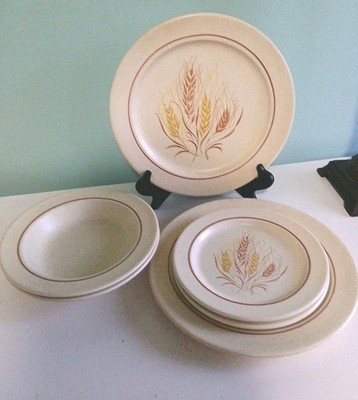  Vintage Anchor Hooking- Dinner Set For Two- Ironstone - ''Autumn Glory'' 