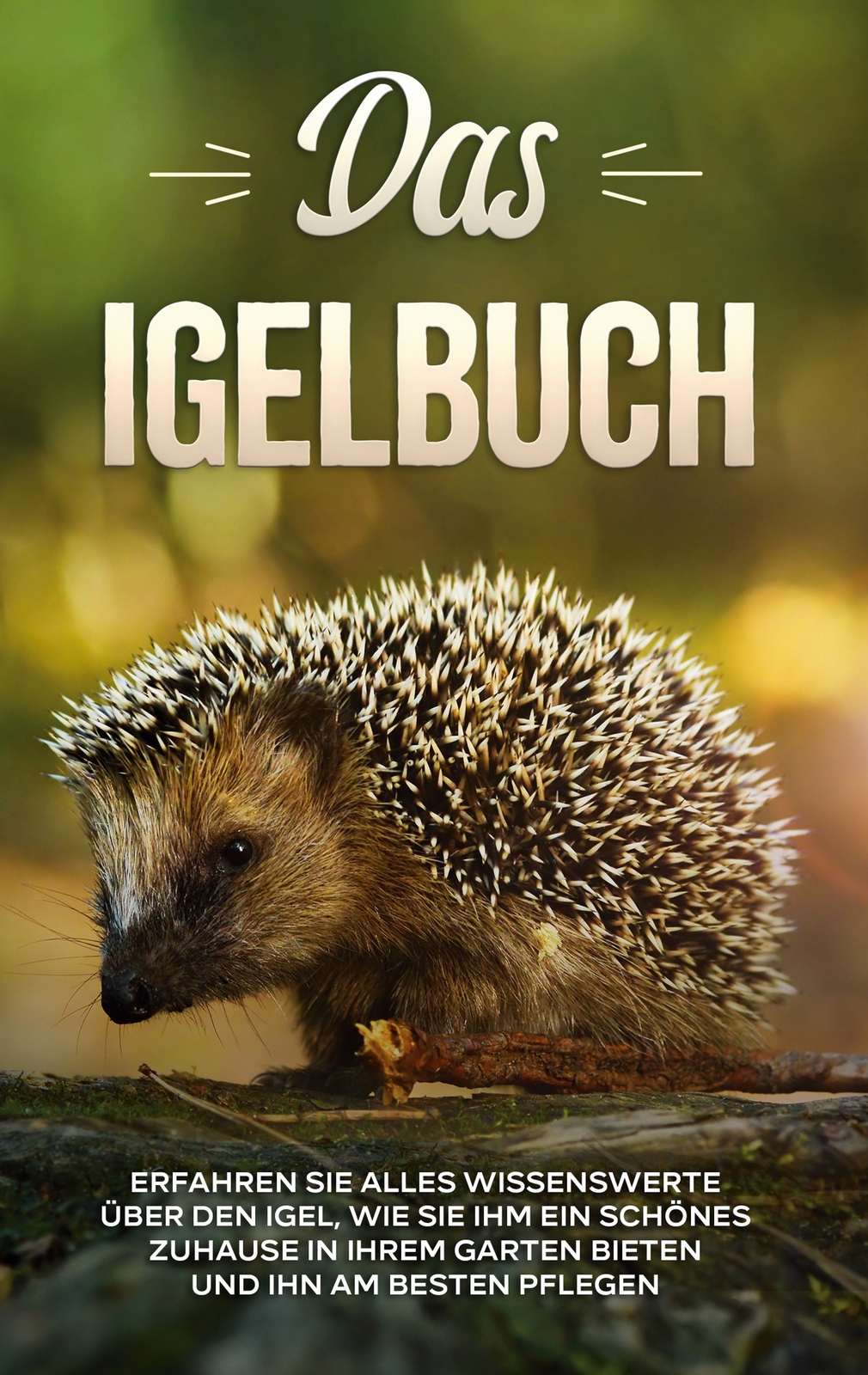 Thumbnail - Das Igelbuch: Erfahren Sie Alles Wissenswerte Über Den Igel, Wie Sie
