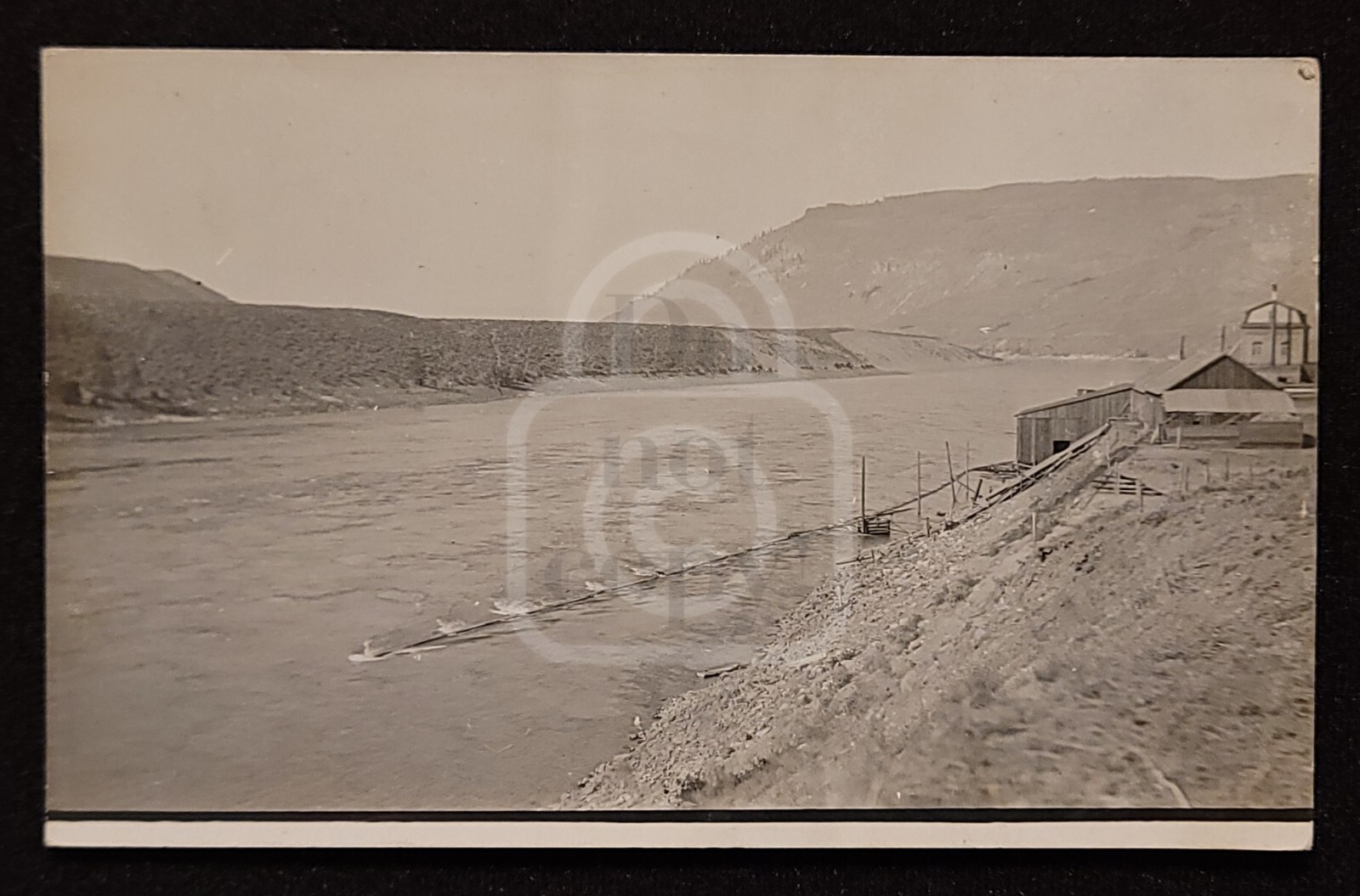 Vintage 1909 RPPC Log Boom at Mill Bridgeport WA Columbia River