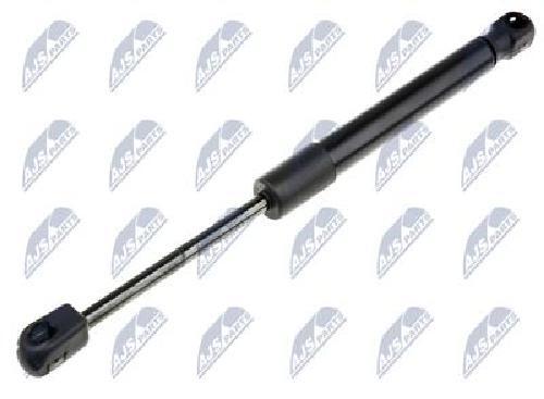 Original NTY Gas Spring Trunk/Cargo Area AE-FR-048 For Ford