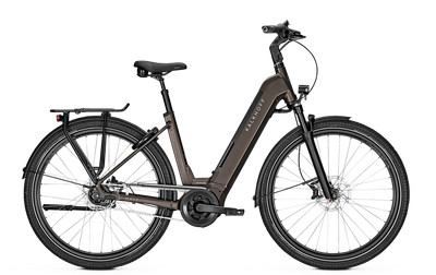 29  KALKHOFF Image 5.B Move+ Wave 625Wh E-Bike Pedelec Grau Nabenschaltung