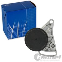 SKF Spannrolle Keilrippenriemen Unten Links FüR Audi A4 A6 VW Passat Variant