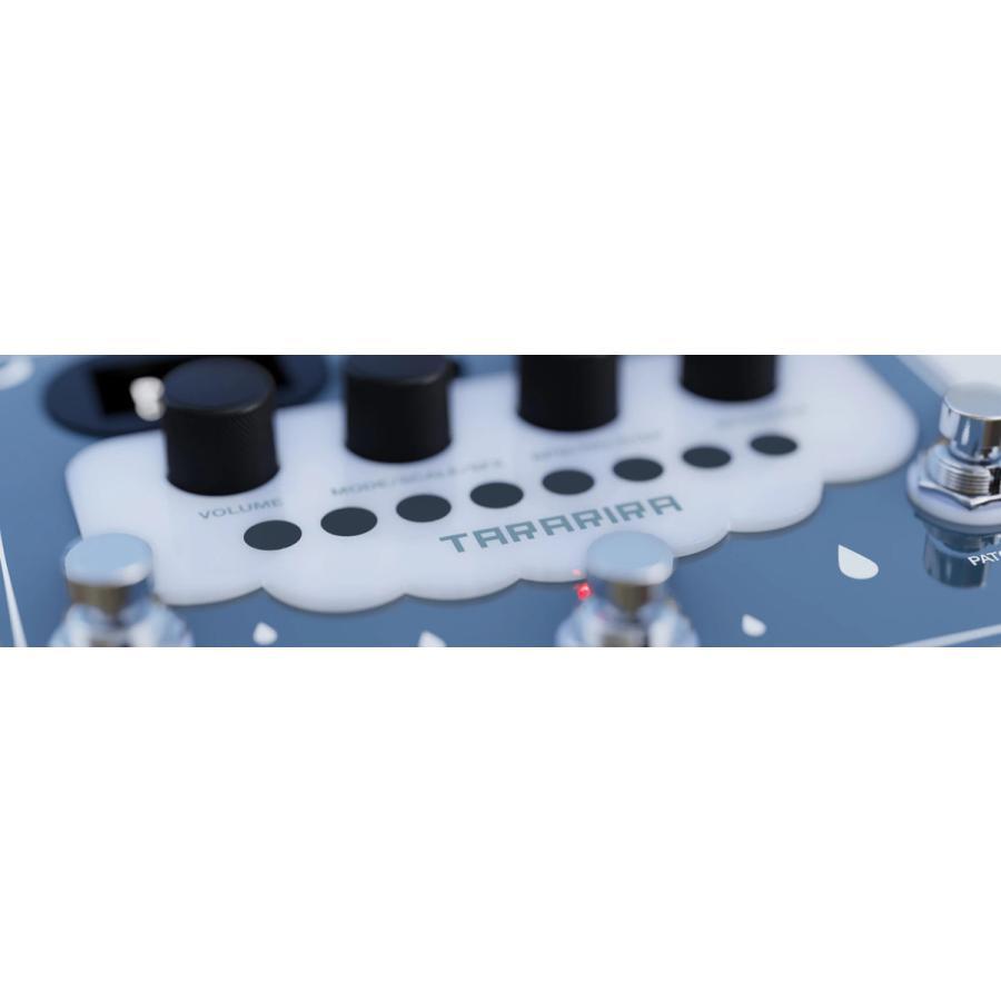 ギター Banana Effects Tararira Arpeggiator Amazon.com: Bananana Effects - TARARIRA arpeggiator pedal