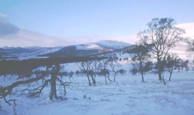 Foto 6x4 Alltourie, Invercauld Castleton\/NO1591 Blick nach Westen quer um 1999