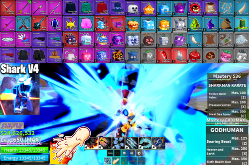 Compte Roblox Blox Fruits - Dough Perm, Shark V4, 2 Game Pass, CDK, 3 Storage, Niveau 2400