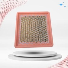 CarQuest R88140 Automotive Air Filter