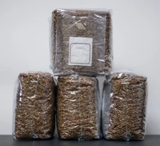 MycoHaus 8 lbs ( 4 pack ) sterilized rye grain berries mushroom spawn grow bag