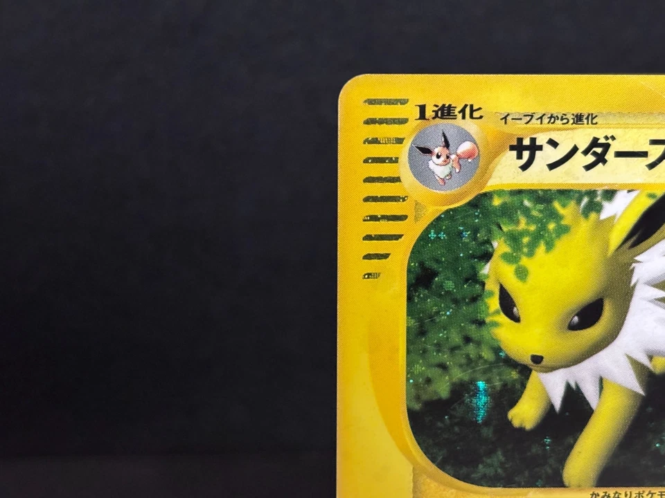 Jolteon Split Earth 037/088 Holo Moderately Played Japanese Pokemon e Card - Image 3 of 4