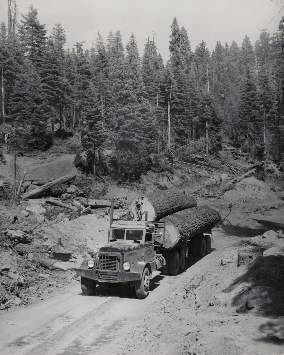 Pickering Lumber Co Logging Truck Stanislaus Forest California 8x10 photo 1948